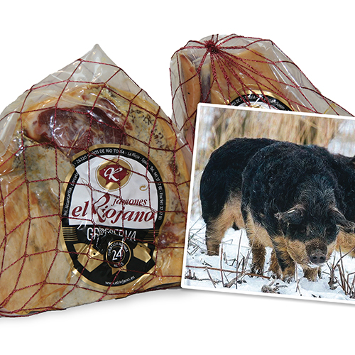 Hungaro porc laineux